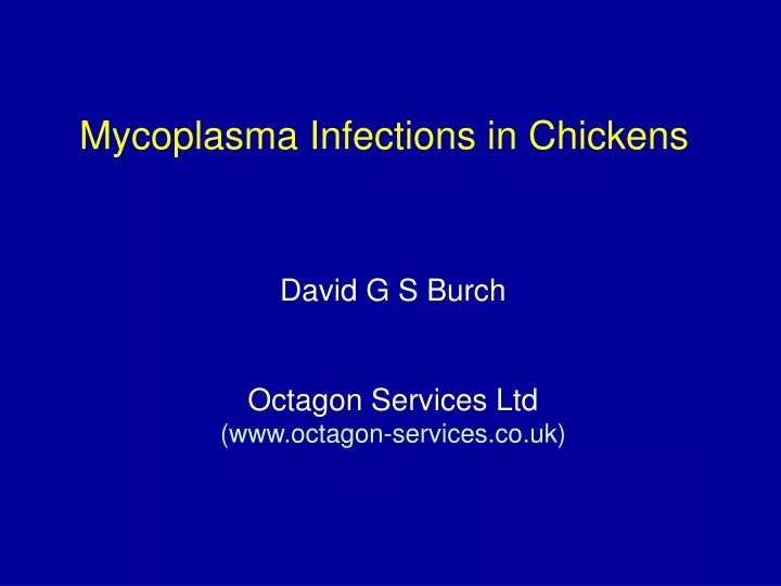 mycoplasma infections in chickens