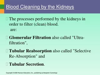 Blood Cleaning by the Kidneys