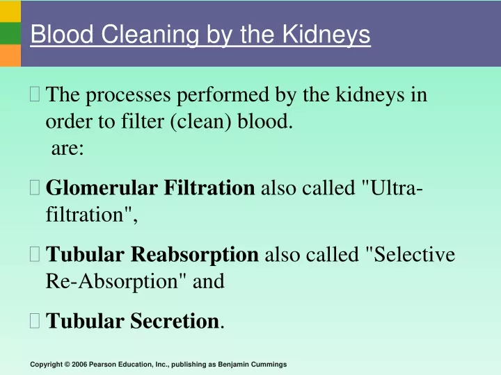 blood cleaning by the kidneys