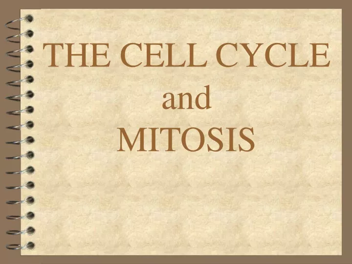 the cell cycle and mitosis