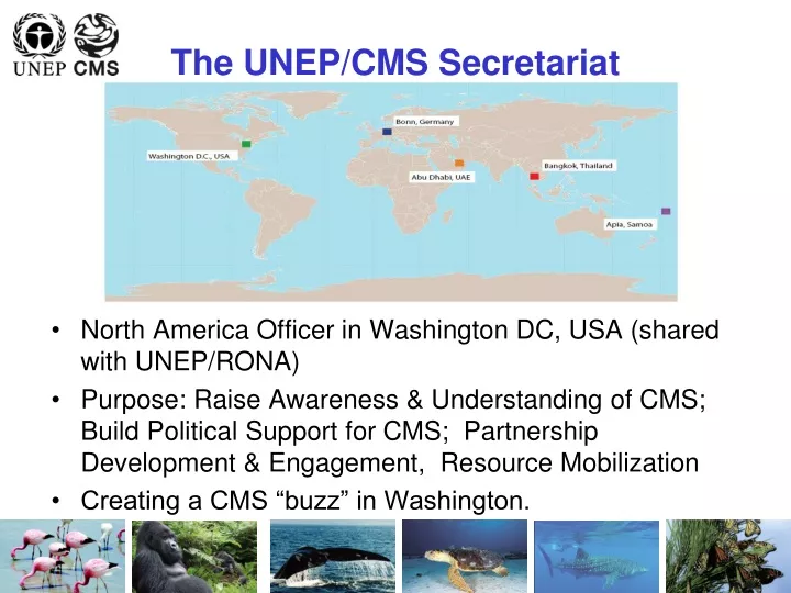 the unep cms secretariat