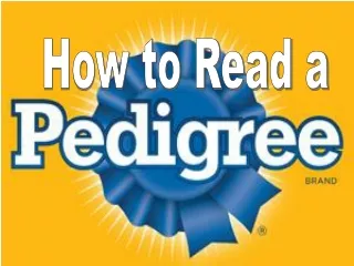 How to Read a