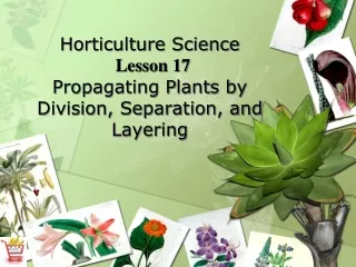 Horticulture Science Lesson 17 Propagating Plants by Division, Separation, and Layering