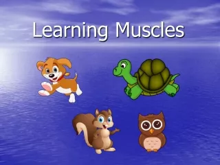 Learning Muscles