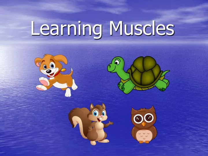 learning muscles