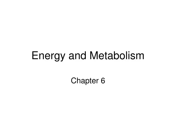 energy and metabolism