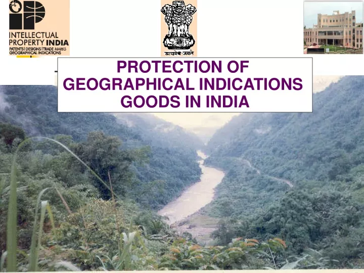 protection of geographical indications goods