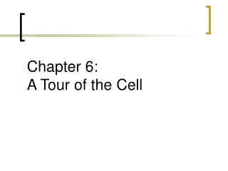 Chapter 6:               A Tour of the Cell