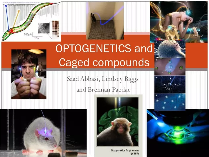 optogenetics and caged compounds