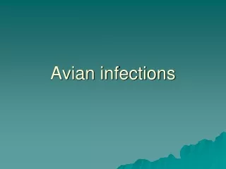 Avian infections