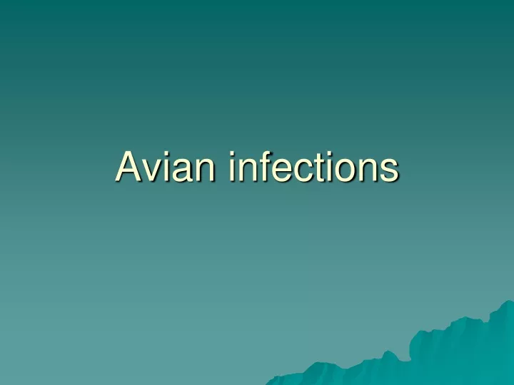 avian infections