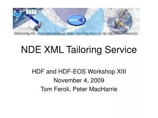 NDE XML Tailoring Service