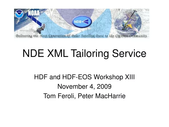 nde xml tailoring service