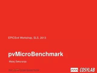 pvMicroBenchmark