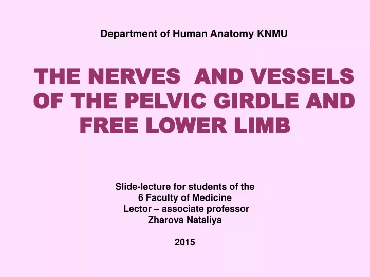 department of human anatomy knmu the nerves