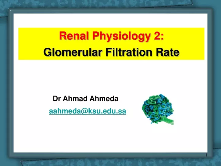 renal physiology 2 glomerular filtration rate