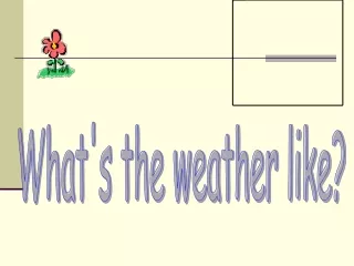 What's the weather like?