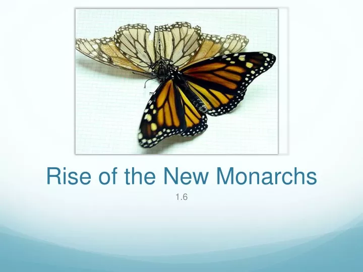 rise of the new monarchs
