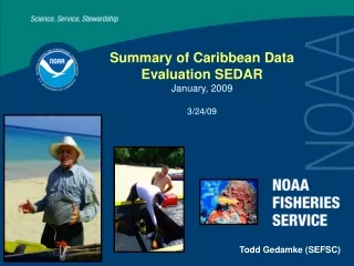 Summary of Caribbean Data Evaluation SEDAR January, 2009 3/24/09