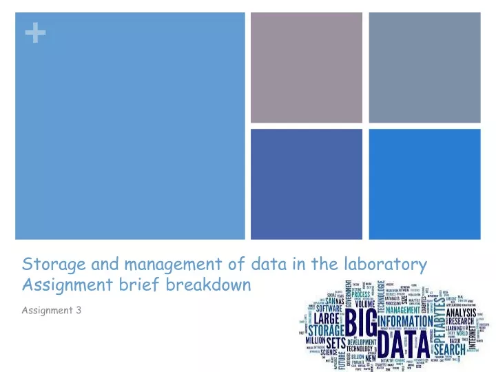 storage and management of data in the laboratory assignment brief breakdown