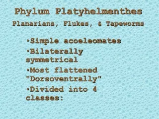 Phylum Platyhelmenthes Planarians, Flukes, &amp; Tapeworms