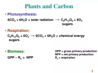 Plants and Carbon