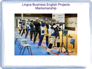 Lingva Business English Projects Marksmanship