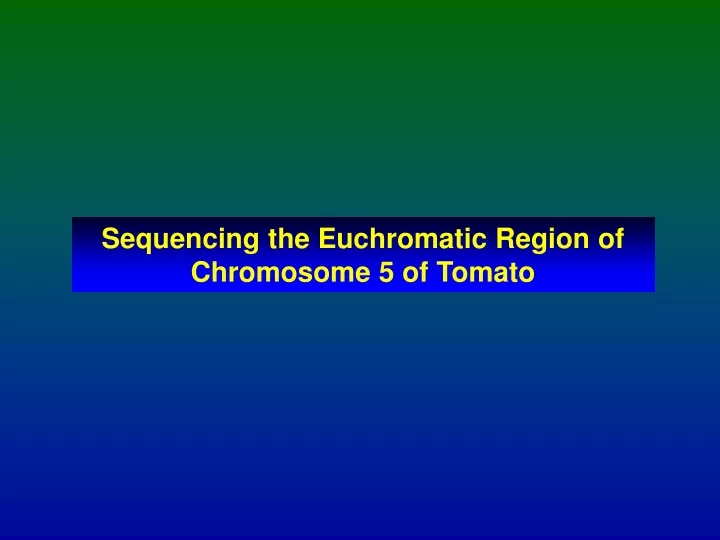 sequencing the euchromatic region of chromosome