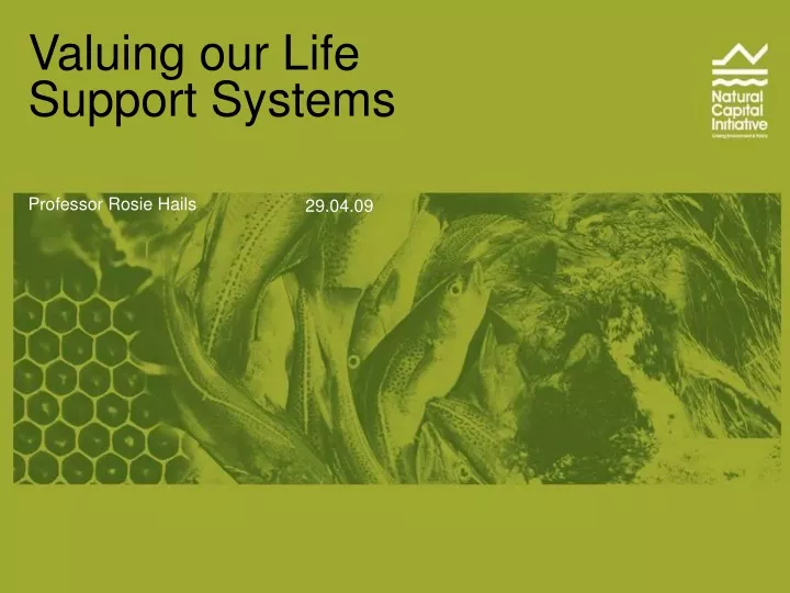 valuing our life support systems
