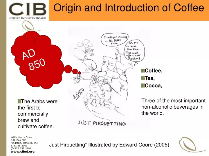 origin and introduction of coffee