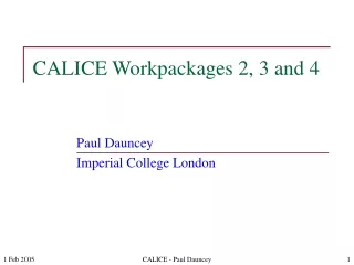 CALICE Workpackages 2, 3 and 4