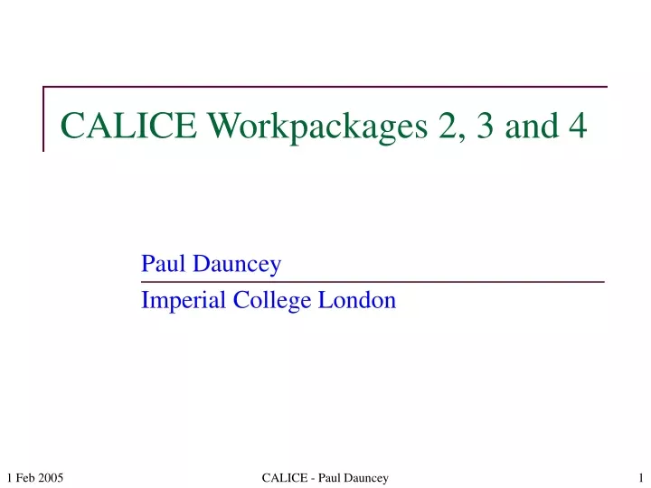 calice workpackages 2 3 and 4