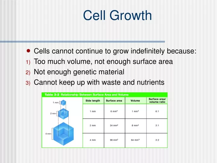 cell growth