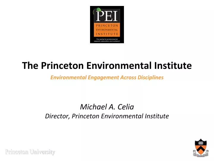 the princeton environmental institute
