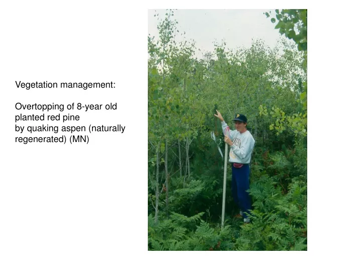 vegetation management overtopping of 8 year
