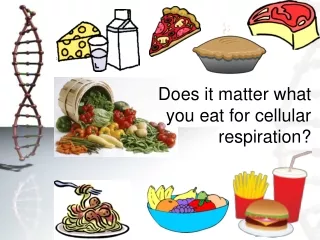 Does it matter what you eat for cellular respiration?