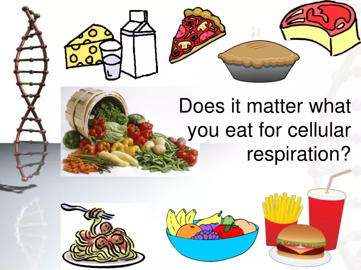 does it matter what you eat for cellular respiration