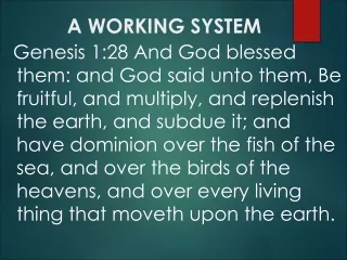 A WORKING SYSTEM