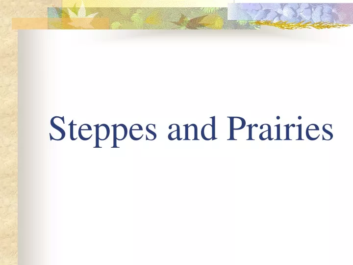 steppes and prairies
