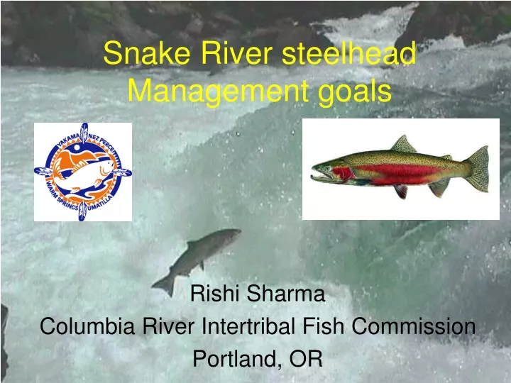 snake river steelhead management goals