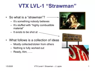 VTX LVL-1 “Strawman”
