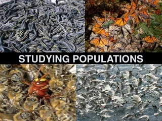 STUDYING POPULATIONS