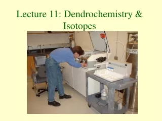 Lecture 11: Dendrochemistry &amp; Isotopes