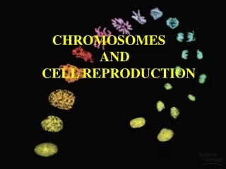 CHROMOSOMES                  AND CELL REPRODUCTION