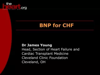 Dr James Young Head, Section of Heart Failure and  Cardiac Transplant Medicine