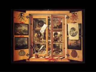 “Wunderkammer” Cabinet of Curiosities: place, collection, story