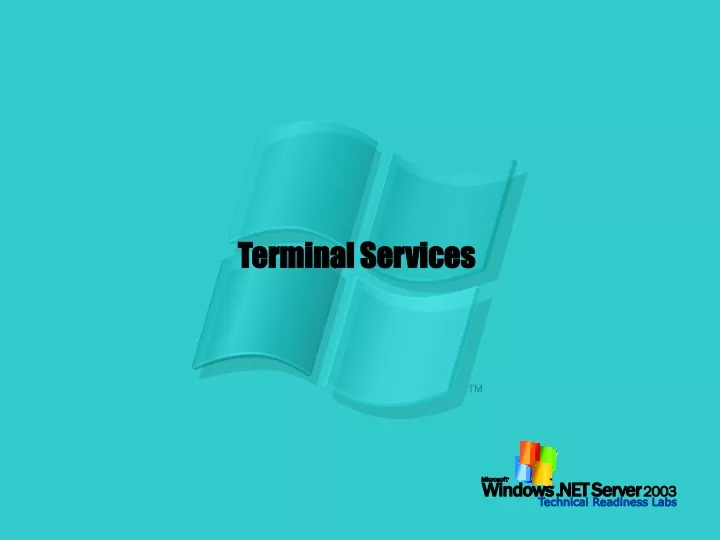 terminal services