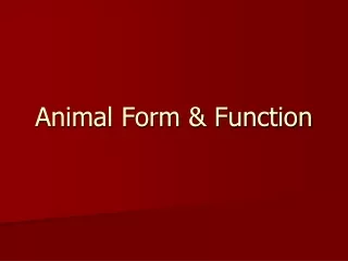 Animal Form &amp; Function