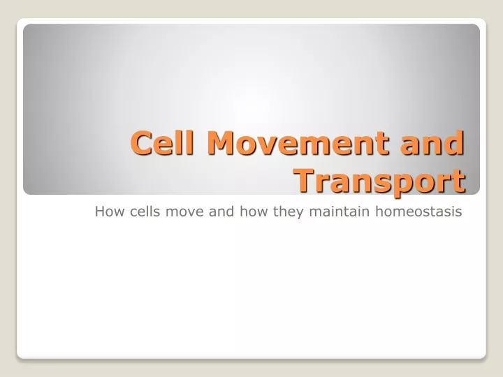 cell movement and transport