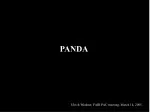 PANDA - slide 1